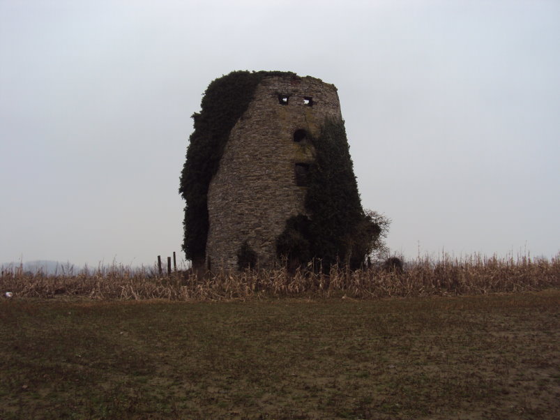 peruwelz786 un moulin rattrape par la nature.jpg